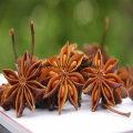 Star Anise gute Qualität